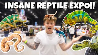 TOURING A HUGE REPTILE CONVENTION INSANE [upl. by Dionis]