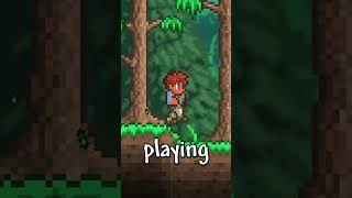 best mode to play in Terraria [upl. by Llovera]