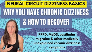 Why you have PPPD MdDS and other unexplained chronic dizziness amp how to recover [upl. by Egon896]