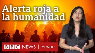 5 revelaciones del informe de la ONU sobre cambio climático y qué dice sobre América Latina [upl. by Langille907]