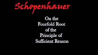 Schopenhauer On the Fourfold Root of the Principle of Sufficient Reason by John David Ebert [upl. by Aihsiyt429]