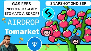 Do You Need Ton Gas Fees For Tomarket Tomato Telegram Airdrop Claim [upl. by Anikahs61]