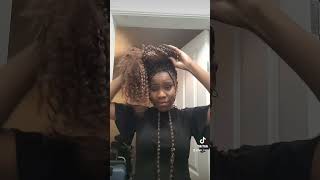 Passion Twists twiststyles passiontwist braidstyles twist hairreveal demure hairtutorial [upl. by Idnahc]