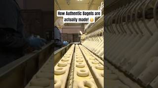 How Authentic Bagels are actually made 😳 Part 1 bagels bagelshop bagelsandwich [upl. by Maitland]