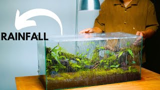 i made a forest style terrarium with a rainfall and mist  rainfall terrarium [upl. by Aldarcie664]