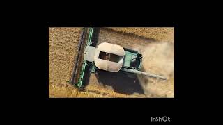 Wheat Harvest Mentmore Manitoba Pinesdune Farm 2024 [upl. by Llenyaj674]