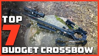 Budget Crossbows Review Affordable Quality Picks [upl. by Annat]