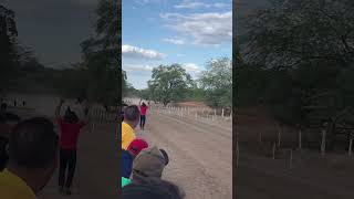 CORRIDA DE CAVALO EM PARQUE SEVERIANO [upl. by Eloise]