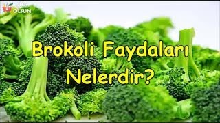 Brokoli Faydaları Nelerdir [upl. by Serra]