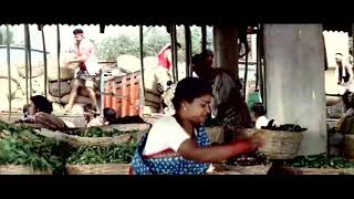 Mutamestri movie video songs Telugu HD rip [upl. by Wiburg]