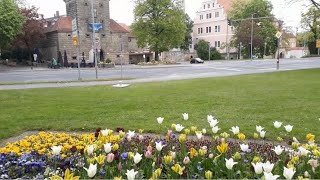 Meine Frühlingsblumen Stadt Amberg Teil 1 Мой весенний цветочный город Амберг Часть 1 [upl. by Una]