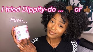 DippityDo Girls With Curls Styling Gelee Review Type 4a3c  Wash N Go [upl. by Hatfield395]