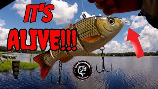 ROBOTIC LURE vs REAL LIVE BAIT Bass Fishing Challenge Giant Bass Caught [upl. by Carrillo326]