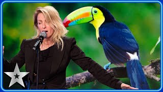 Geneviève Côté wows Judges with UNREAL animal impressions  Auditions  BGT 2024 [upl. by Marthena]