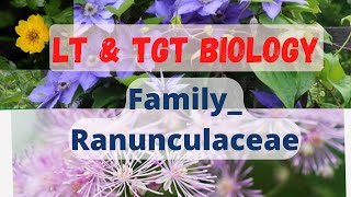 FamilyRanunculaceae LT grade biology TGT bio [upl. by Demakis851]