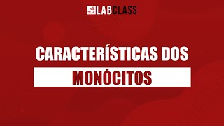 Características dos monócitos [upl. by Rodina]