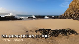 Relaxing Winter Morning Ocean Sounds at Praia Nova Nazaré Soothing Waves on the Beach [upl. by Yvi]