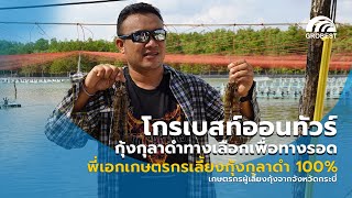 กุ้งกุลาดำ  พี่เอกผู้เลี้ยงกุ้งกุลาดำ 100 และประสบความสำเร็จ  โกรเบสท์ออนทัวร์ EP1 [upl. by Woodring793]