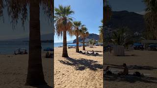 Playa de las Teresitas Tenerife a paradise beach shorts beach travel tenerife [upl. by Sdlonyer]