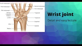 Wrist joint [upl. by Ettie]