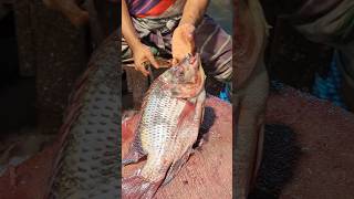 Amazing Tilapia Fish Cutting Skills In Fish Market By Expert Cutter shorts [upl. by Yelnik]