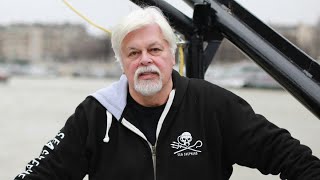 Un tribunal groenlandais prolonge la détention du militant Paul Watson jusquau 5 septembre [upl. by Lambertson]