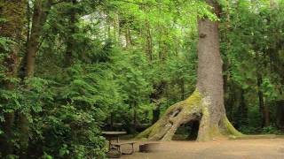 Cape Lookout State Park [upl. by Wiedmann]