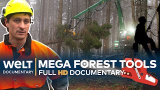 TREACHEROUS TIMBER  Loggers And Their Mega Tools  Full Documentary [upl. by Yendroc]