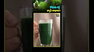 Wheatgrass Juice Your Daily Health Booster 🌿💚 wheatgrassbenefits superfood healthboost [upl. by Canter]