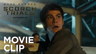 Maze Runner The Scorch Trials  quotSurroundedquot Clip HD  20th Century FOX [upl. by Thorlie563]