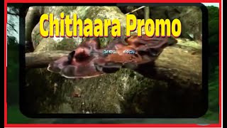 Chithara The Most Popular TV Channel Of Kodagu [upl. by Eseer]