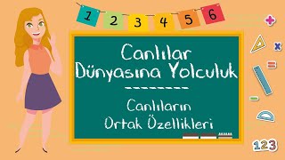 3 Sınıf  Canlılar Dünyasına Yolculuk Canlıların Ortak Özellikleri [upl. by Gnahk571]