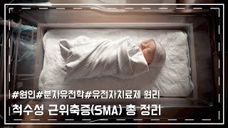 척수성 근위축증SMA 자세히 정리 SMN12 유전자 및 타입1234 졸겐스마 스핀라자 등 유전자 치료제 작용 원리까지 척수성 근위축증유전자검사희귀질환 [upl. by Gnof]