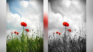 Photoshop Tutorial  Spot Color BampW [upl. by Taro]