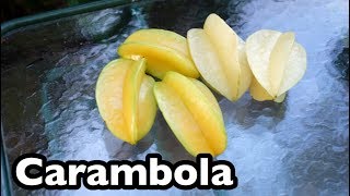 All About Carambola Star Fruit [upl. by Rexfourd]