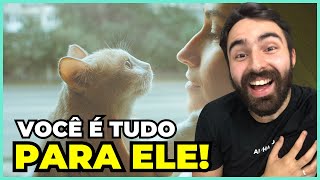 Se Seu Gato Faz ISSO Você é a VIDA INTEIRA Dele [upl. by Wallach908]