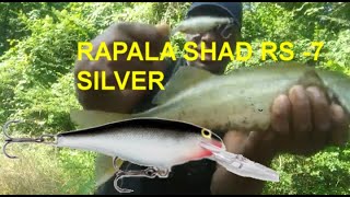 RAPALA SR 7 SILVER DEEP RUNNER [upl. by Brunk334]