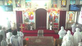 Medhanie Alem Ethiopian Orthodox Tewahedo Church KC Live Stream [upl. by Gillie]