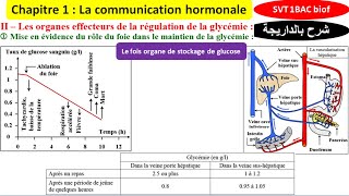 Les organes effecteurs de la régulation de la glycémie  rôle du foie شرح بالداريجة [upl. by Clemen]