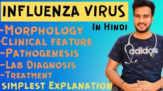 Influenza virus microbiology  influenza virus in Hindi [upl. by Ahsoyem]