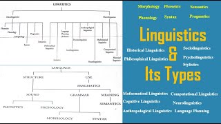 Linguistics and Its types  Micro Linguistics  Macro Linguistics  Language amp Linguistics [upl. by Malley813]