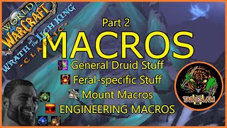 Go GIGA With These Macro Tips  FERAL DRUID WORKSHOP  WRATH CLASSIC [upl. by Apfel]