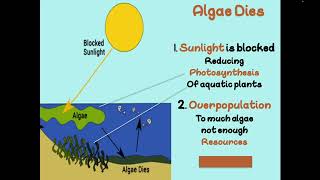 APES Unit 5 Aquatic Biomes Problems [upl. by Atikihc]