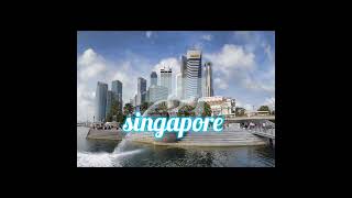 singapore facts about pigeons facts shorts [upl. by Rexana867]