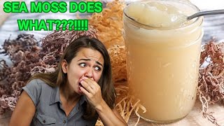 SEA MOSS DOES WHAT [upl. by Acessej285]