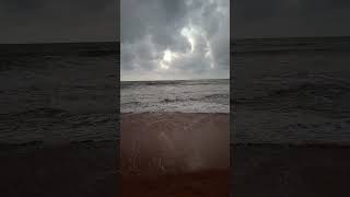 Browns Beach Negombo Sri Lanka travel shorts negombo [upl. by Sheehan]