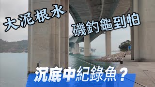 飛行服務隊碼頭……………打沉底香港步兵釣魚岸釣打沉底遠投投釣香港釣點釣魚日記  釣點分享 [upl. by Ilene]