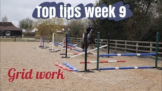 A how to guide for jumping a grid Horse riding Top tips week 9 [upl. by Elok]