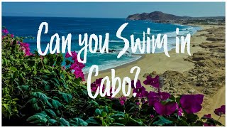 TOP Beaches for Swimming in Cabo San Lucas [upl. by Andert]