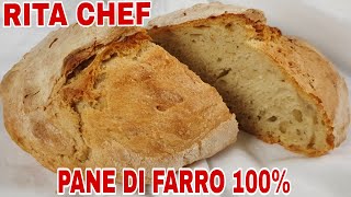 PANE DI FARRO 100⭐RITA CHEF  Veloce ad alta idratazione è gustoso e digeribile [upl. by Lamrouex]